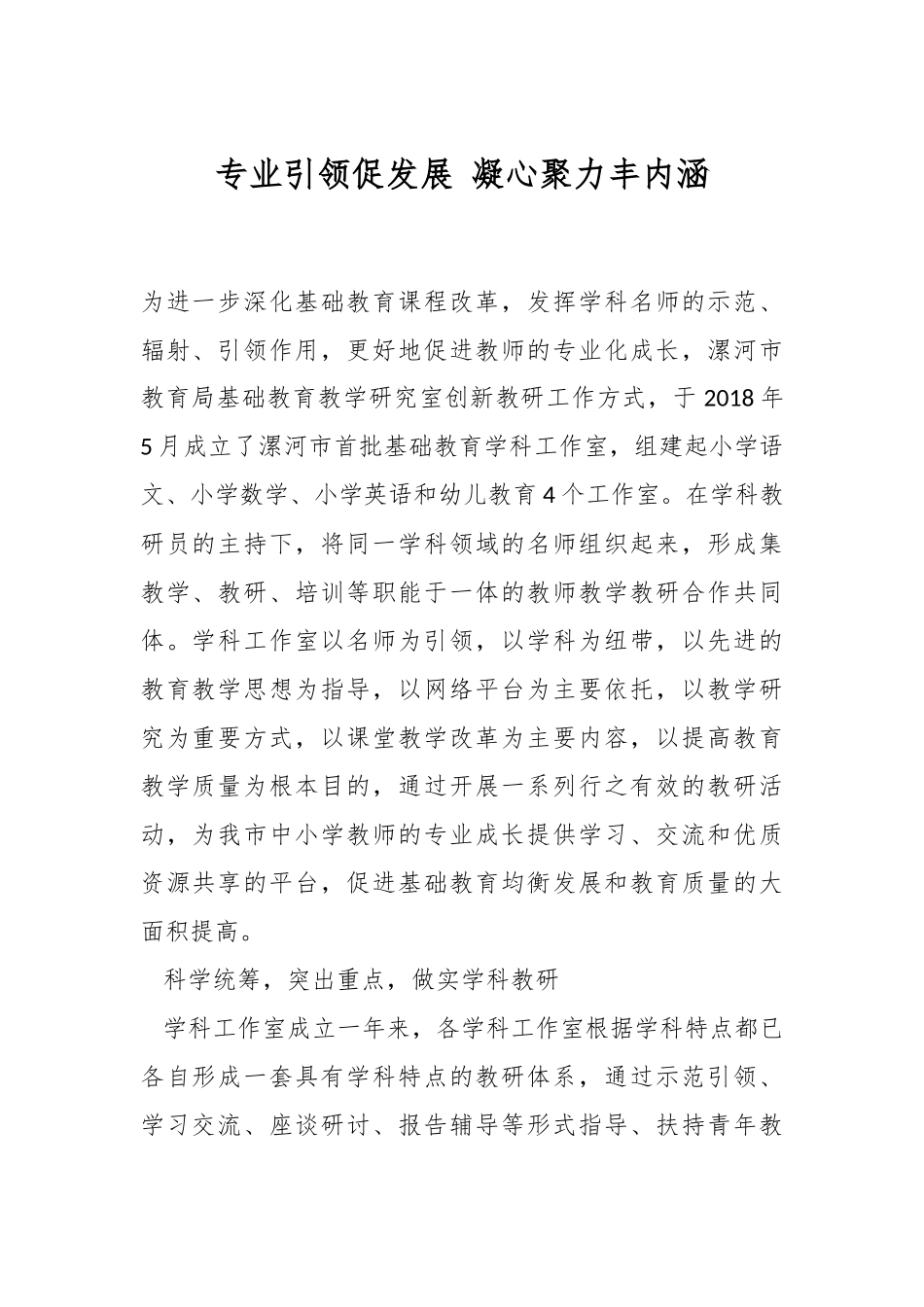 专业引领促发展 凝心聚力丰内涵.docx_第1页