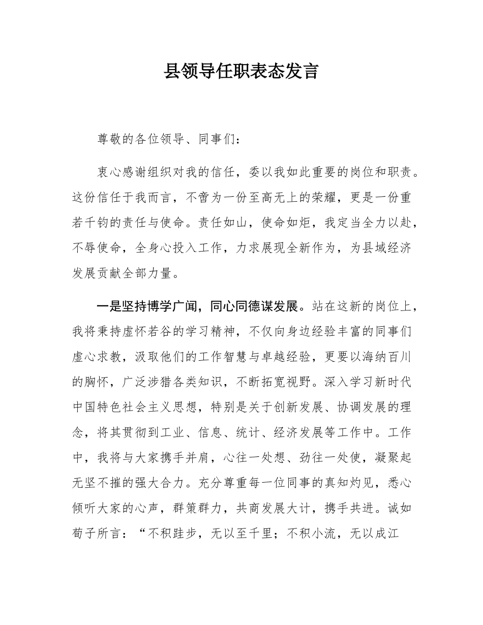 县领导任职表态发言.docx_第1页