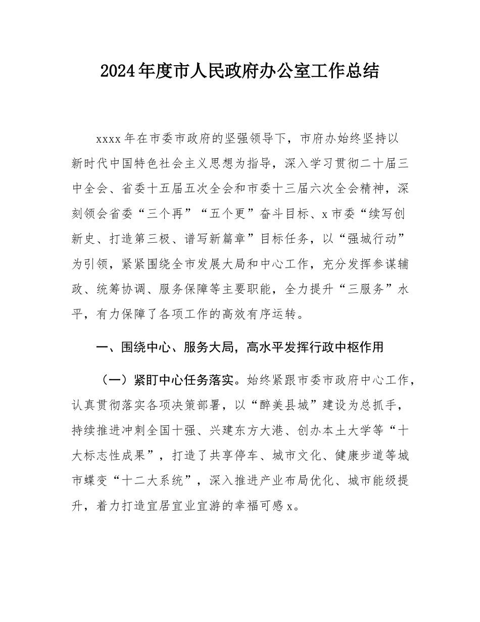 2024年度市人民政府办公室工作总结.docx_第1页