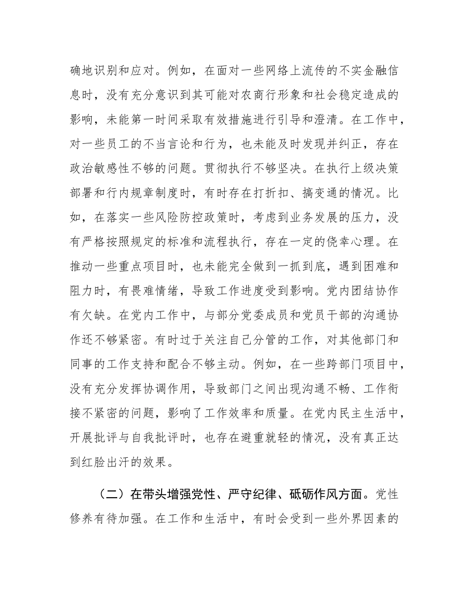 某银行党委副书记2024年度民主SH会个人对照检视发言材料.docx_第2页