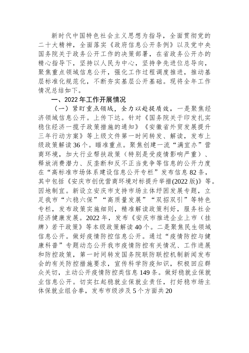 2022年市政务公开工作总结汇编（11篇）.docx_第2页