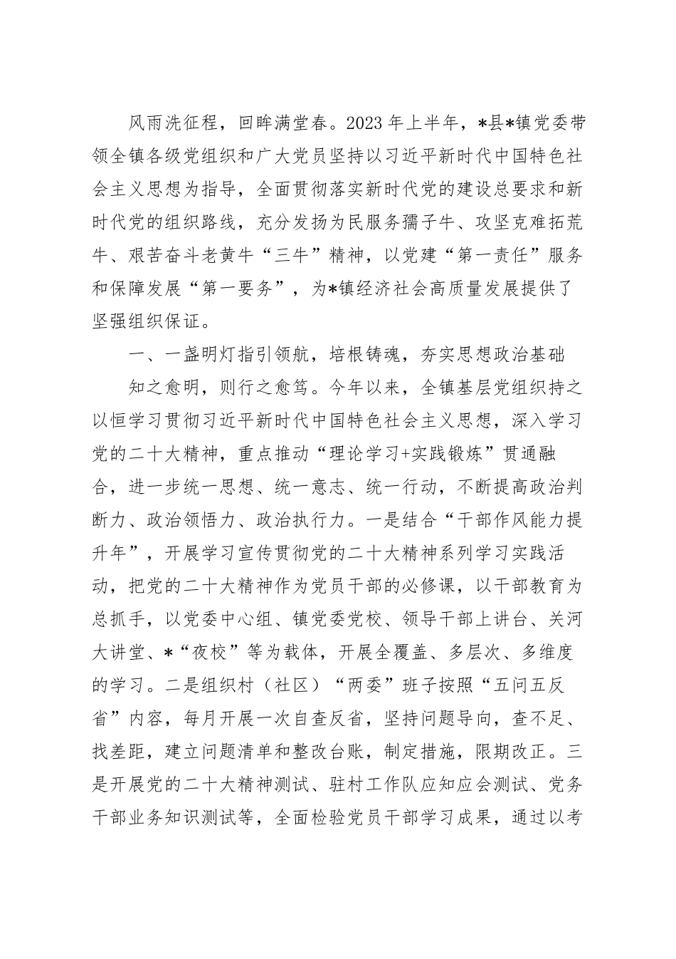 2023年乡镇上半年党建工作总结范文.docx_第2页