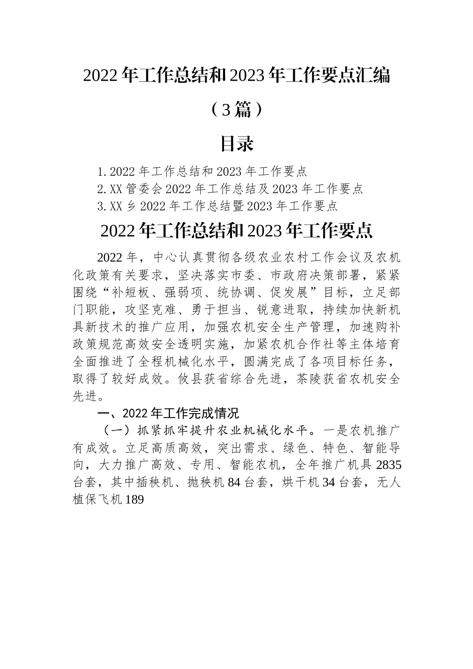 2022年工作总结和2023年工作要点汇编（3篇）.docx_第1页