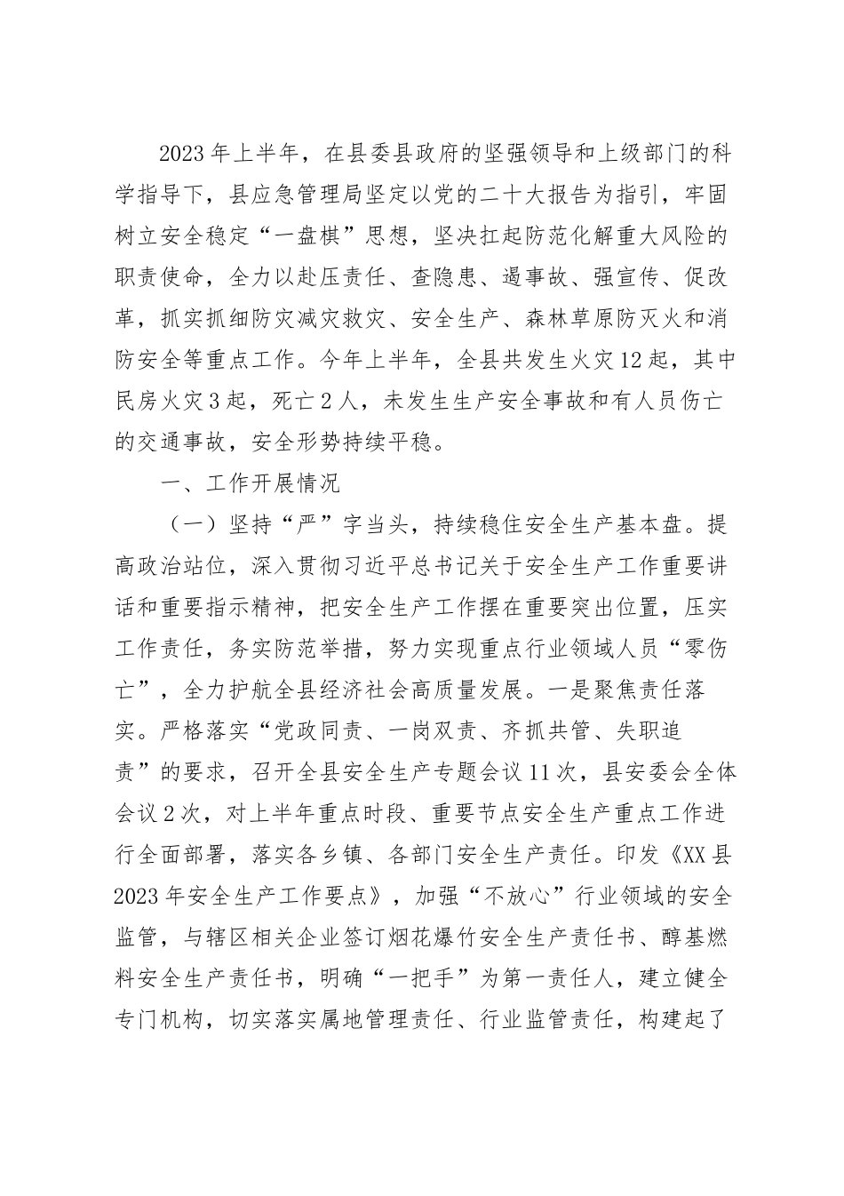 2023年上半年应急管理局工作总结.docx_第2页