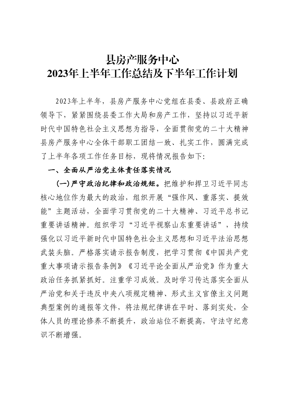 2023年上半年工作总结及下半年工作计划.doc_第1页