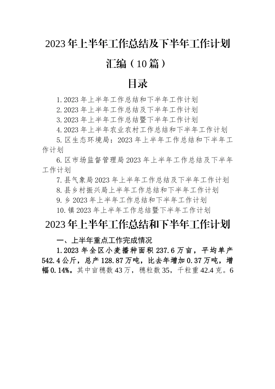 2023年上半年工作总结及下半年工作计划汇编（10篇）.docx_第1页