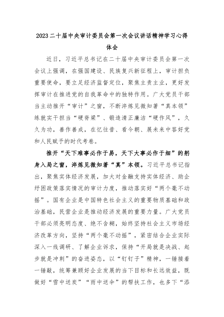 2023二十届中央审计委员会第一次会议讲话精神学习心得体会.docx_第1页