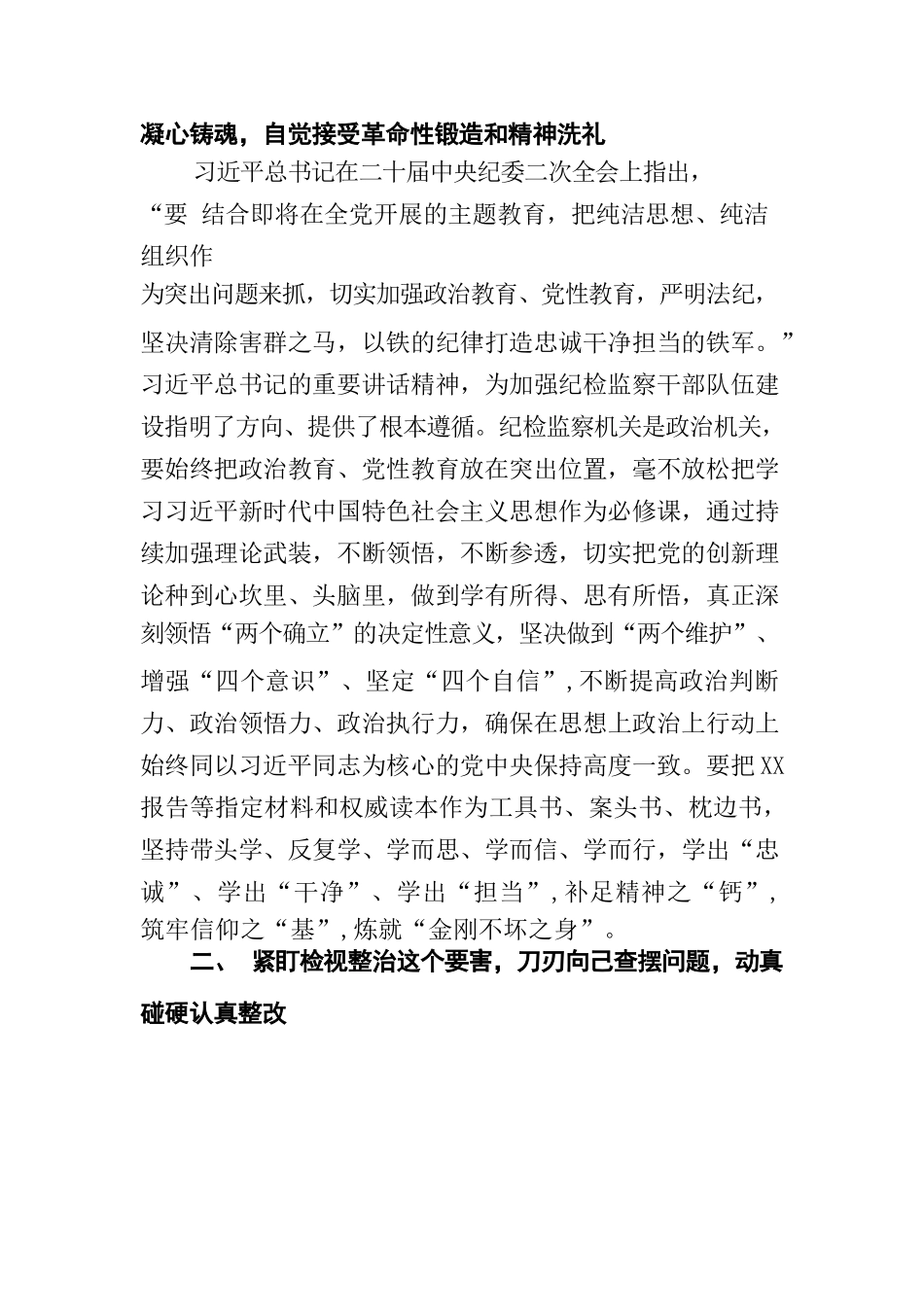 (3篇)2023纪检监察干部队伍教育整顿专题学习研讨心得体会发言材料 (2).docx_第2页