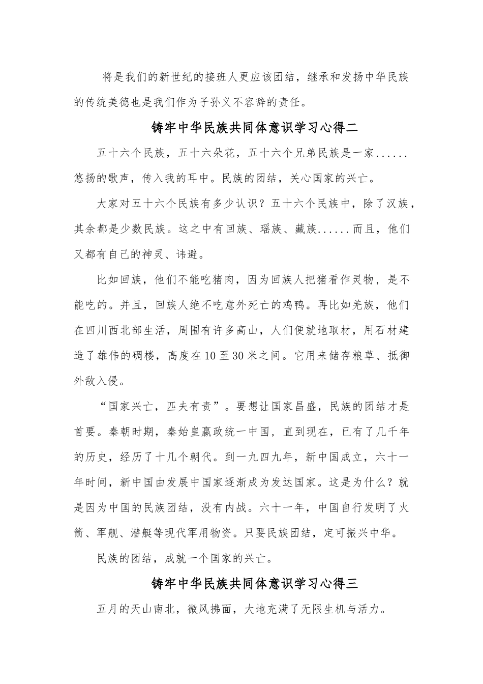 (5篇)铸牢中华民族共同体意识学习心得.docx_第2页