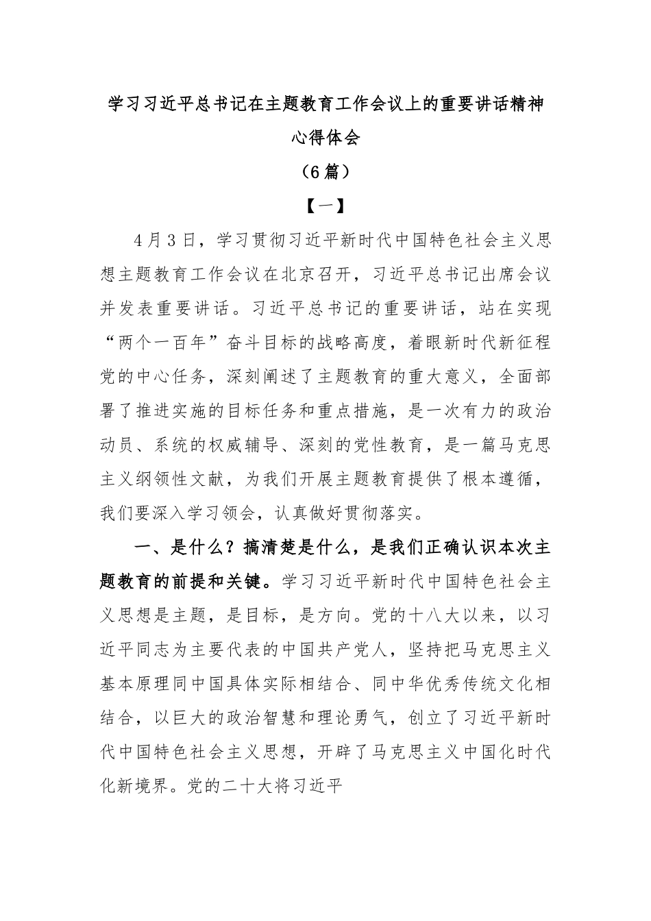 (6篇)学习习近平总书记在主题教育工作会议上的重要讲话精神心得体会.docx_第1页