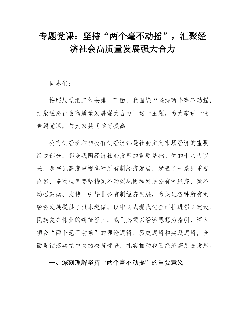 专题党课：坚持“两个毫不动摇”，汇聚经济社会高质量发展强大合力.docx_第1页