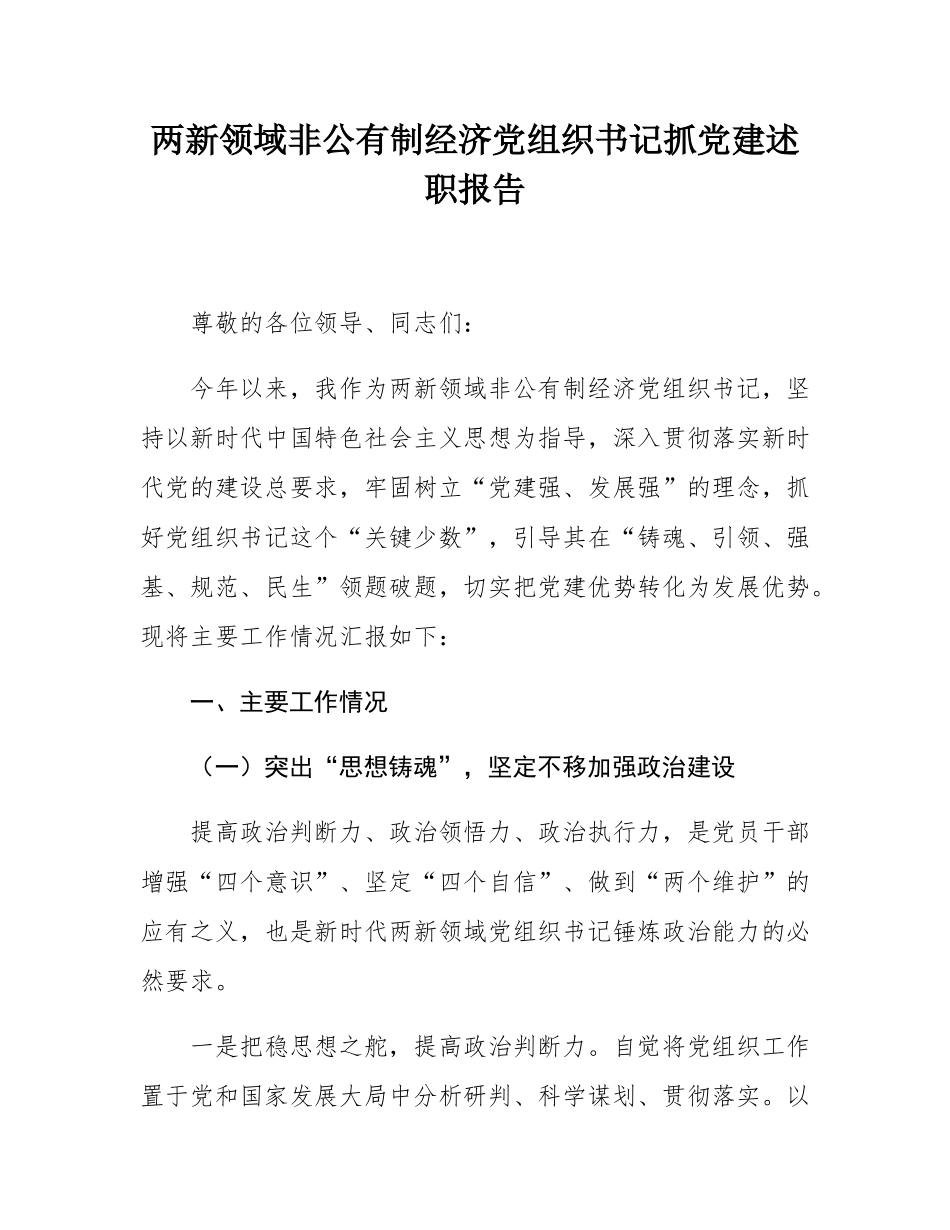 两新领域非公有制经济党组织书记抓党建述职报告.docx_第1页