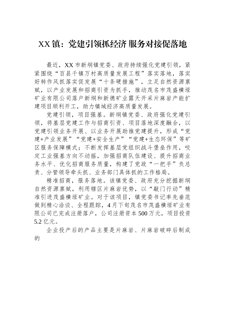 XX镇：党建引领抓经济 服务对接促落地.docx_第1页